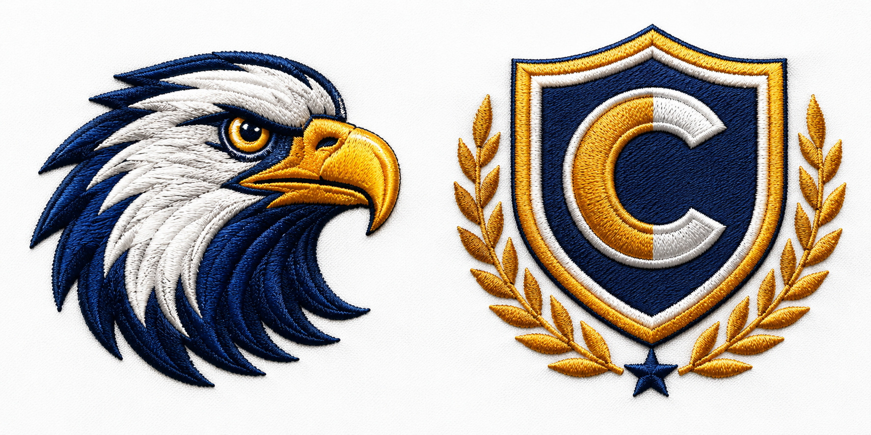What Is Professional Embroidery Digitizing_Cre8iveSkill